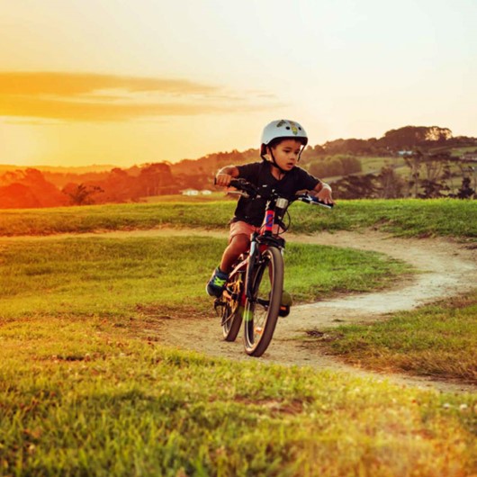boy on a bike in a park  image