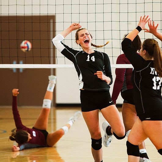 Volleyballers celebrate a point image