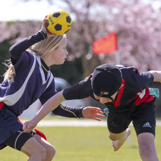 Playing Kī o rahi, a traditional Māori sport  image