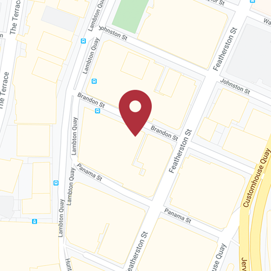 Google map of Sport NZ Wellington street address