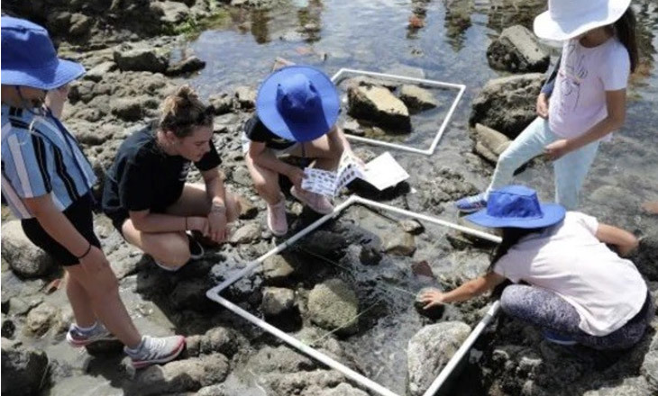 A group looking in rockpools