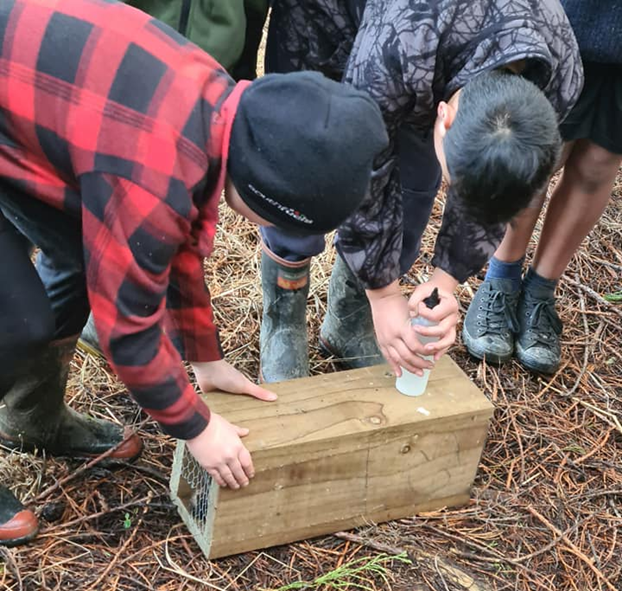 four boys leaning over a wooden box