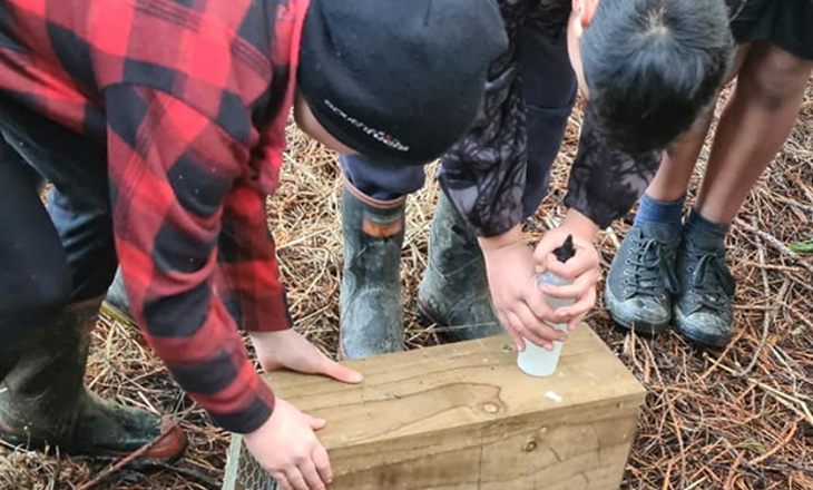 four boys leaning over a wooden box