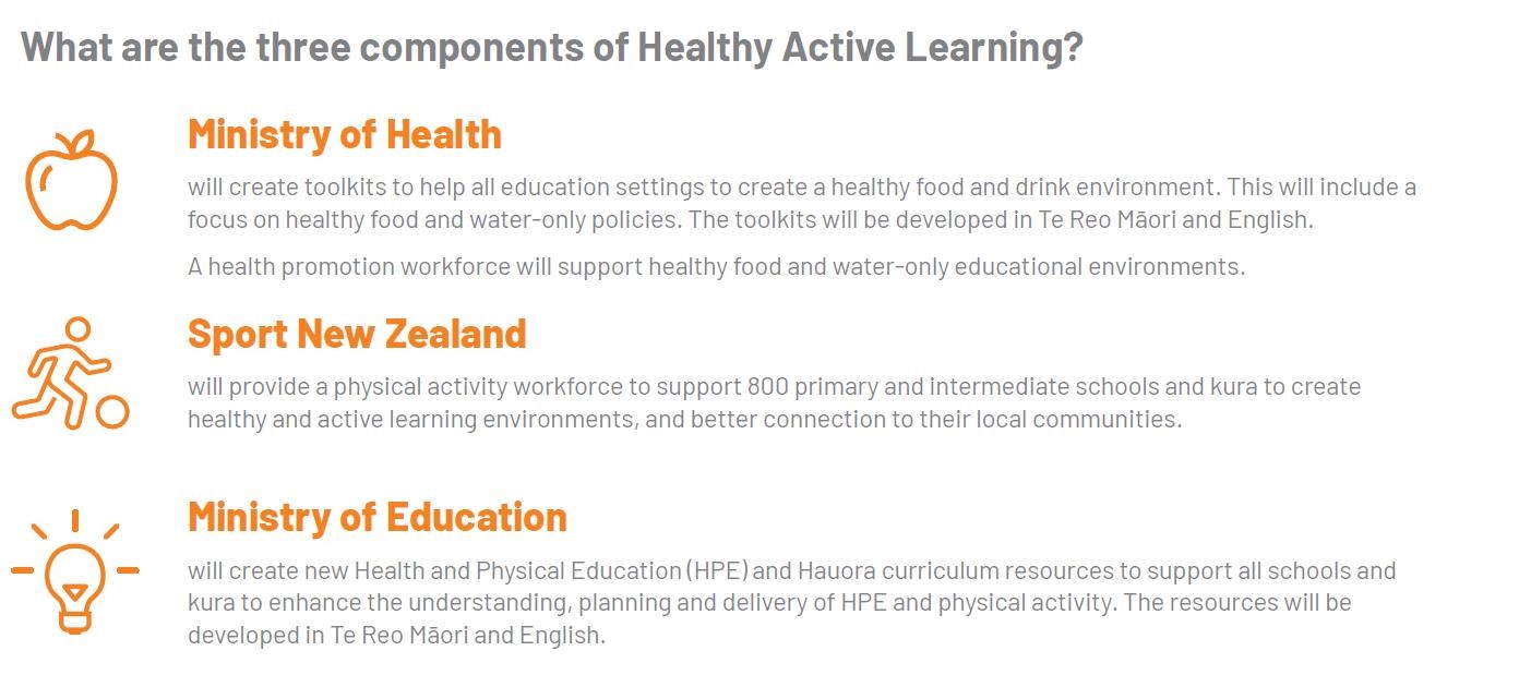 What are the 3 components of healthy active learning visual