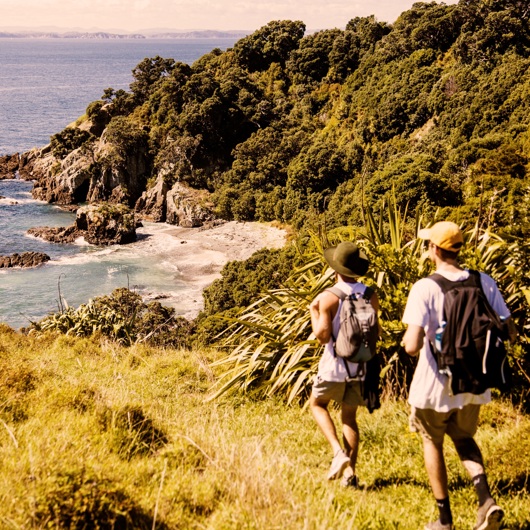 Two people walking right to left down a track to a beach image