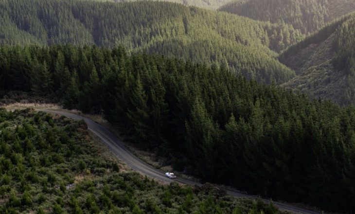 Rally car driving on track through forest