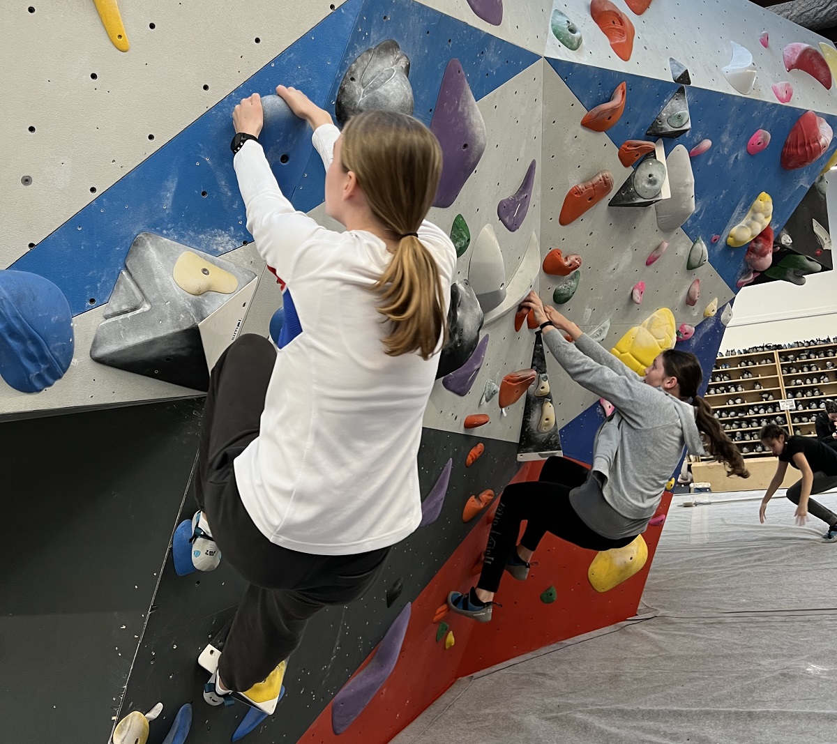 Two tamariki on a climbing wall