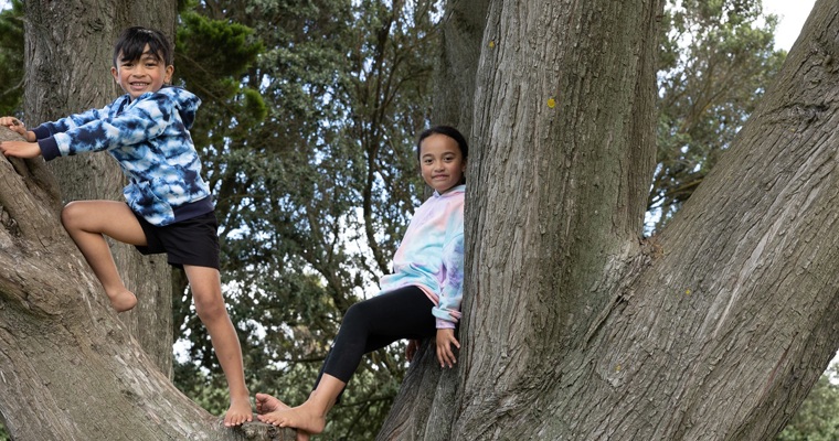 Tamariki climbing a tree