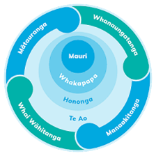 Mana Taiohi graphic