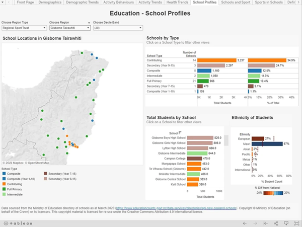 School profiles tab screenshot from the Sport NZ Insights tool
