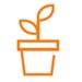 Seed growing icon