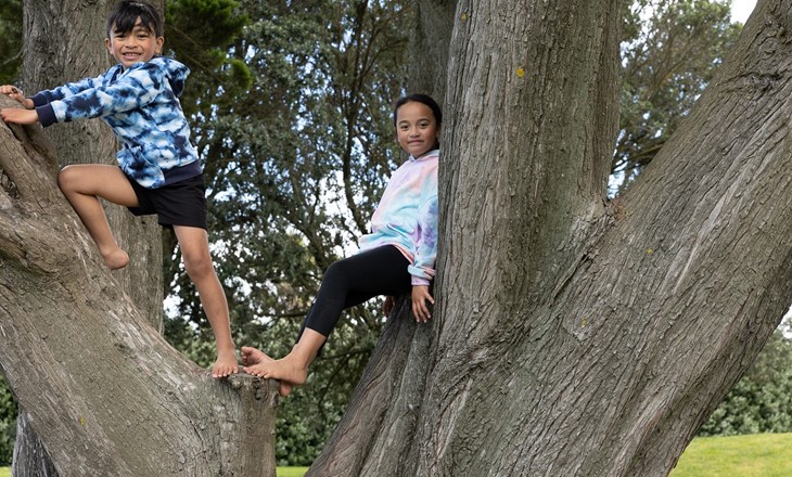 Two kids playing in a tree