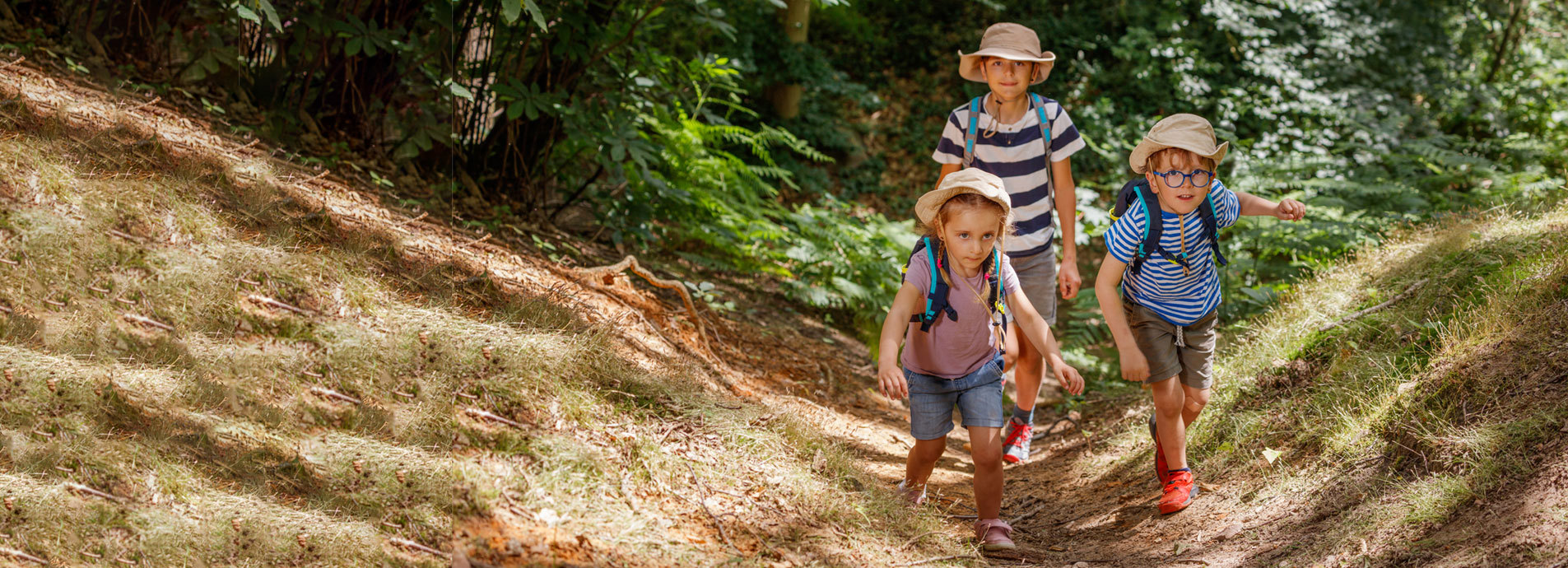 Natureexplorersbanner